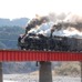 大井川鐵道は2017年の正月三が日のSL列車内で抽選会を行う。写真は2012年1月1日のSL列車。