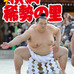 サンスポ特別版「祝誕生！ 第72代横綱 稀勢の里」発売