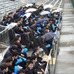 雨の中、日体大応援スタンド