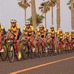　キャノンデール・ジャパンが鹿児島県にある国立大学の鹿屋体育大・自転車競技部に自転車フレームの供給を開始した。同大学の自転車部は男女とも日本ナショナルチームに起用され、国際大会などで実績をあげる選手が多く所属している。