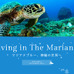 マリアナ政府観光局がダイビングサイト公開…ダイビングポイントや生き物等を紹介