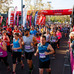 オーストラリアで最も歴史のある大会「メルボルンマラソン」10月開催