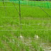 南日本グルメライド、梅雨明けの鹿児島、ロングライドでちゃんぽんを
