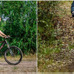 振動を吸収する自転車用ショックアブソーバー「Rinsten Spring」発売