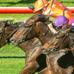【香港スプリント】9番人気スカイフィールドV　日本調教馬はレシステンシアが2着　直線入り口で多重落馬事故が発生