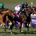 【香港カップ】今年海外GI3勝　異国の地でラヴズオンリーユーが有終の美飾る