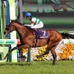 【競馬】年度代表馬にエフフォーリア　海外GI3勝のラヴズオンリーユーは受賞ならず