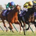 【ジャパンC】「どんなジョッキーカメラより熾烈」各馬のポジション争いにファン熱狂「バッチバチの競り合い」