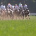 【朝日杯FS／馬場情報】土曜は前残り馬場も先週・阪神JFは“外差し”決着　終日雨予報で馬場は要チェック