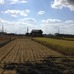 【礒崎遼太郎の農輪考】新米の季節、自然農法のお米が教えてくれること