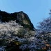 御船山楽園では、2014年3月21日から4月6日まで、2千本、5万坪の庭園内エリアをライトアップ。九州最大級の夜桜イベントを開催する。