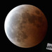 ウェザーニューズ、皆既月食の特別番組「The Total Lunar Eclipse 2015」を英語配信