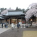 護国神社。桜と神社のコラボレーション。