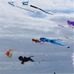 Kiteフェスティバル