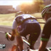 サイクルスポーツシム『Pro Cycling Manager 2015』が発表―PC/PS4/PS3/Xbox Oneで6月リリース