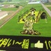 青森県田舎館村の名物「田んぼアート」。今年は『スター・ウォーズ／フォースの覚醒』がテーマとなる（写真は2014年時のもの）
