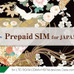 伊勢市観光協会で販売するプリペイドSIM「Prepaid SIM for Japan」パッケージ。7日間、1日100MBの容量制限で利用できる