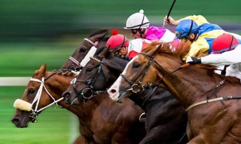 【スプリングS／全頭診断】怪物候補・クレパスキュラーの評価は　「2.1.0.1」該当穴馬が権利獲りに虎視眈々