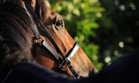 【スプリングS／危険な人気馬】“隠れた素質馬が飛躍を遂げる”レース　「0.0.2.28」が示す鵜呑みにできないキャリアが枷