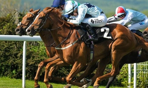 【スプリングステークス2026予想】過去10年のレース結果・配当・血統まとめ　傾向分析に使えるお役立ちデータ